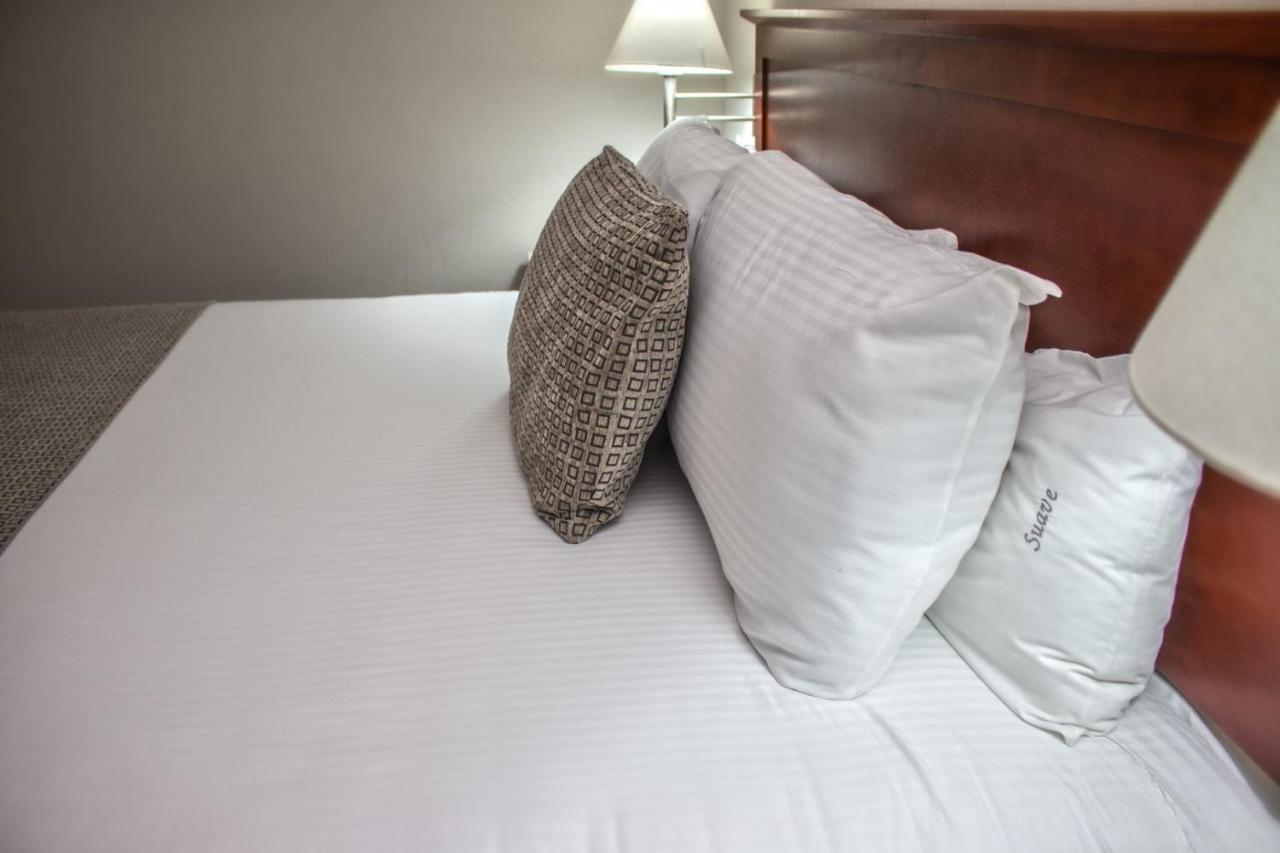 Casa Inn Business Hotel Celaya Exteriér fotografie